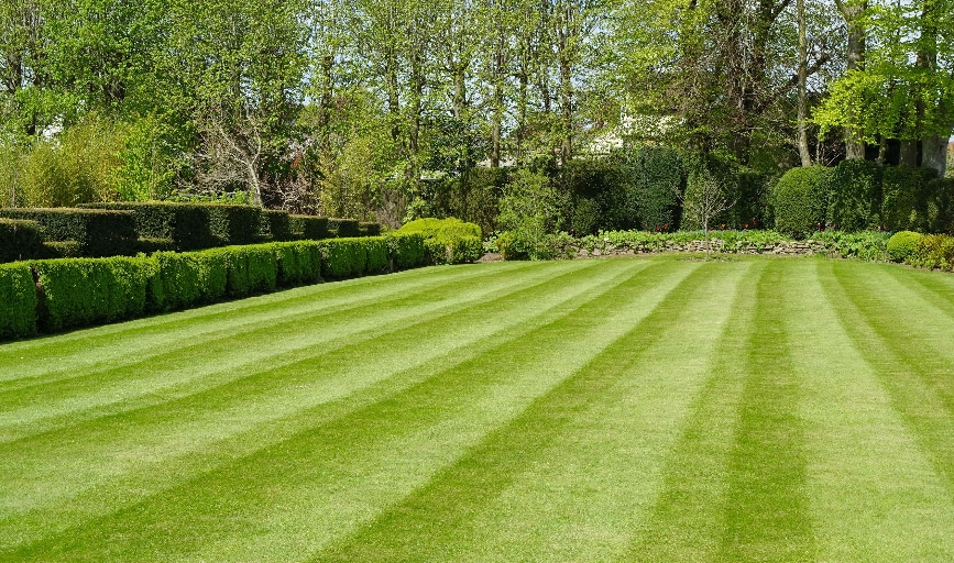 All Green Landscaping
