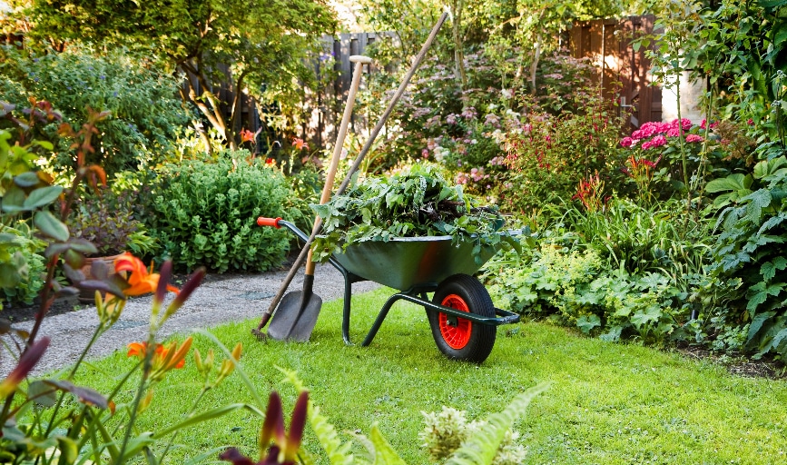 All Green Landscaping