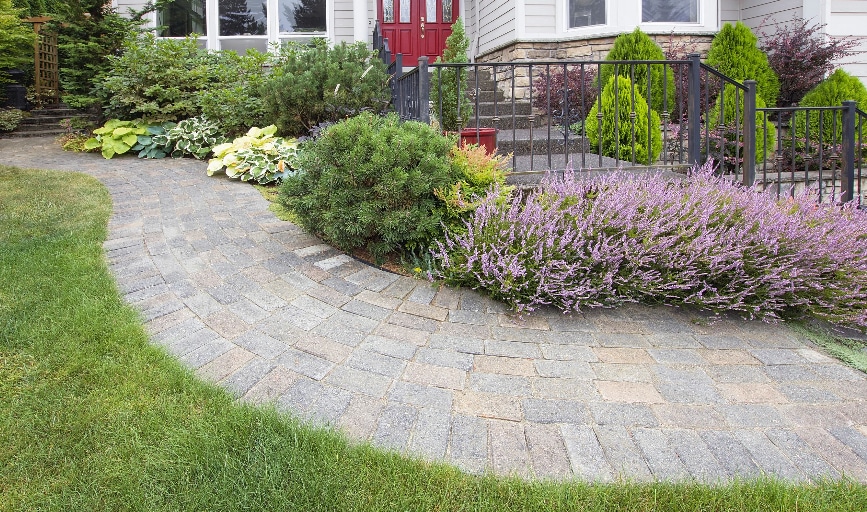 All Green Landscaping